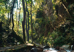 腾冲高黎贡山五道溪徒步一日游【5KM 逆溪追溯 山野小灶 拼小团】