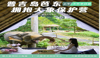 普吉岛芭东拥抱大象保护营一日游【中文讲解 摄影师旅拍 泰式甜点 零距离接触大象 网红三角木屋 可选酒店接送】