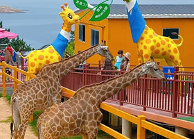 【步行至动物园】威海博霞山庄1晚+西霞口神雕山野生动物园成人票2张（电子票，可选入住当天或次日使用））