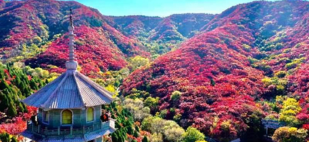 红叶谷一日游【德州出发】