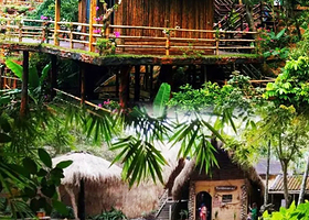 海南槟榔谷黎苗文化旅游区+南湾猴岛生态旅游区+呆呆岛一日游【纯玩优质团·含景区门票+定点接送+导游服务】