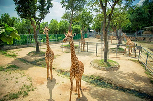 【周末不加价】中南百草园1日门票2张+悦致酒店（安吉店）1晚，推荐打卡小瘾半日村，灵峰山