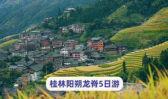 桂林阳朔+龙脊梯田+遇龙河景区+漓江三星游船五日游【8人·佳游纯玩·住龙脊吊脚楼~4人可升独立团|多套餐】