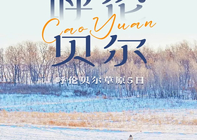 呼伦贝尔大草原+额尔古纳+根河源湿地纯玩5日丨私家专享一单一团不拼人丨滑雪+雪地野骑+骆驼爬犁+驯鹿丨接送机