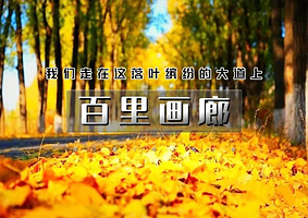 百里山水画廊一日游【【百里画廊-休闲1日】醉美秋色延庆百里山水画廊-领略延庆秋天山水之美】