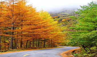 陕西汉中留坝环线游套票一日游【汉中出发】