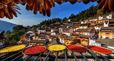 婺源篁岭景区一日游【早午班可选/赏晒秋农俗/精品纯玩】