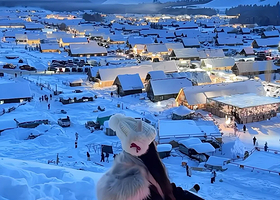 喀纳斯湖+喀纳斯三湾+禾木风景区+赛里木湖六日游【不去后悔一生！新疆美风景线全攻略-乌市出发6人拼小团】