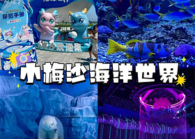 【深圳大梅沙芭堤雅酒店】住宿1晚+小梅沙海洋世界单次门票2张+2人早餐+酒店免费停车