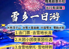 中国雪乡+大秃顶子山一日游【赏雪景/可选夜景团/含雪地摩托&雪地转转/亚雪公路&十里画廊/赠旅游意外险】