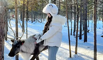 漠河县城+北红村+北极村+龙江第一湾风景区三日游【2-8人精品团|驯鹿园|漠河舞厅|大兴安岭森林】