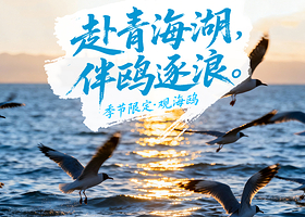 日月山+青海湖二郎剑景区一日游【懒人出行丨季节限定观海鸥丨8人精致小团丨上门接送丨纯玩无购物】