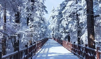瓦屋山套票（门票+金花桥索道往返+古佛坪索道往返）+电子讲解/纪念品