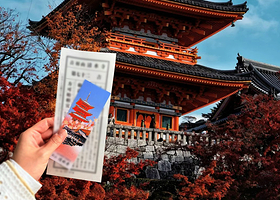 京都清水寺+奈良奈良公园一日游【枫叶季|可选9人小团|酒店上门接送|中文服务|纯玩】