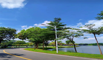 【私家团】东莞可园+西溪古村+松山湖公园+外观华为欧洲小镇1天游，深圳出发上门接送，一家一团不拼客