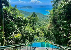 三亚亚龙湾热带天堂森林公园一日游【森林公园+沙滩，包含门票+游览车】