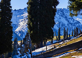 南山牧场【0购0强销+哈萨克风情+神布拉克+空中草原+尽情骑马】一日游