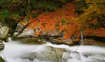 毕棚沟+达古冰川风景名胜区二日游【三环内接/精修旅拍+航拍/西羌农家宴+石板烧/赠氧气瓶+矿泉水】