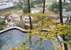 【酒店套餐】成都花水湾豪生温泉大酒店1晚+早餐+双人不限次百乐汤温泉