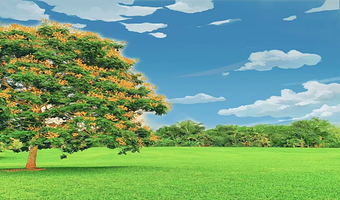 中国科学院西双版纳热带植物园+曼远村一日游【6人内mini团丨市区上门接送丨懒人游丨晚出发丨小众打卡】