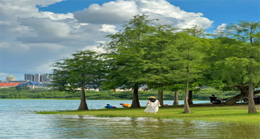 【私家团】东莞可园+西溪古村+松山湖公园+外观华为欧洲小镇1天游，深圳出发上门接送，一家一团不拼客