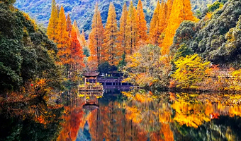 【周末不加价】宁海天明山森林温泉大酒店/度假村1-2晚，早餐+漂漆DIY+柿柿如意礼1份+宁海森林温泉