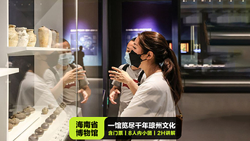 海南省博物馆·2小时人工精讲·8人VIP小团·含门票预约