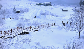 亚布力滑雪+中国雪乡+北极村+长白山景区+镜泊湖风景区九日游【2-6小团/丰富玩乐/民俗风情/接送站服务】