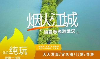 一日游【跟着春晚游武汉【武汉一日游，精致团】】