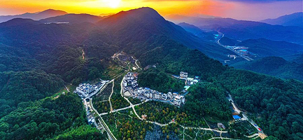 溪头旅游村+桂峰村一日游【广州出发】