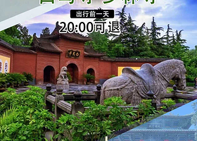 少林寺+白马寺一日游【纯玩无购物/市区主干道可接/含讲解】