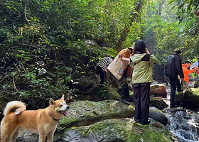 基诺山雨林徒步一日游【6人小团·么桌村雨林徒步·向导+雨林餐+秋千+溯溪+树降+竹筏+射箭等一站打卡】