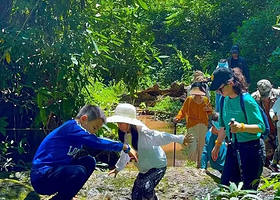 基诺山雨林徒步一日游【6人小团·司徒村·向导+雨林餐+秋千+溯溪+树降+竹筏+射箭等一站打卡】