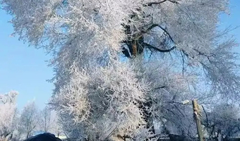 伊春+大箐山+天沐小镇+冰湖雪村+金山鹿苑+大兴安岭+雾凇+非遗木艺6日游/2-6人团可选