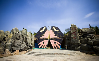 地下大峡谷+萤火虫水洞一日游【临沂出发-赠送萤火虫水洞游船】