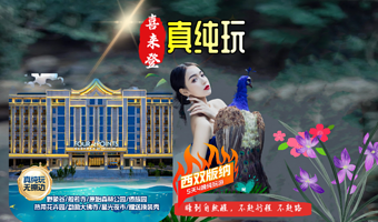 西双版纳傣族园+野象谷+西双版纳原始森林公园五日游【真纯玩喜来登|大佛寺|般若寺|星光夜市+六国水上集市】