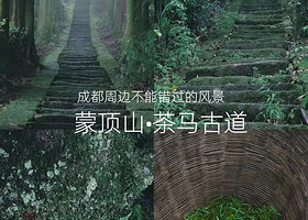 【住在蒙顶山内】雅安蒙顶山·岽昇酒店住1晚+2人早餐+2人蒙顶山门票+可选购2人晚餐