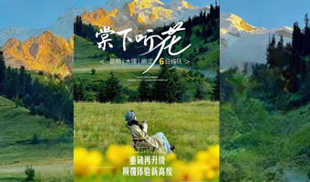 石林风景区+滇池+洱海游船+蓝月谷+《印象丽江》演出六日游【纯玩全含|动车返昆|4+5钻|洱海旅拍+骑行】