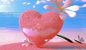 睡醒出发：大连5日私家团.旅顺口+棒棰岛+老虎滩海洋公园（接送机/站+帆船出海+黄渤海+航母舰岛+4晚酒店）