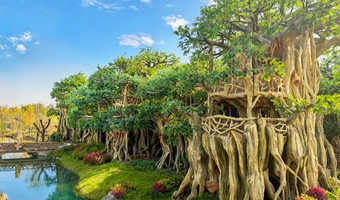 【住进动物园里】宿迁森迪部落树屋酒店1晚+2大1小森迪野生动物园2日门票+含国际大马戏、海洋剧场、森林剧场