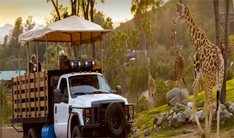 圣迭戈野生动物园一日游【门票，尽情享受独特且身历其境的野生动物体验，这里有广阔的栖息地、近距离接触动物的机会】