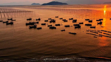 高罗沙滩海水浴场+海尾城堡+大京沙滩+丹湾观景平台+下尾岛一日游