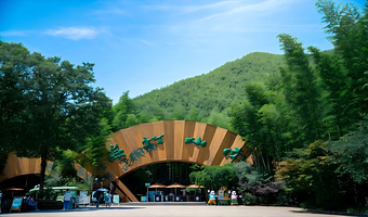 【官方大促~无限次入园】天目湖御水温泉·客栈1晚+早餐+双人南山竹海/天目湖山水园/溧阳特色套餐（任选）