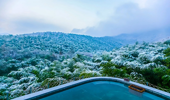 【温泉套餐】溧阳熊猫翠竹园宾馆1晚+双早+天目湖涵田半山温泉/天目湖御水温泉（2选1）