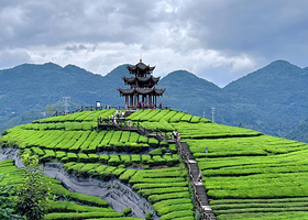 狮子关旅游区+伍家台贡茶文化旅游区+宣恩贡秀一日游【大团/小团+管家服务+纯玩线路】