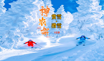 神农架国际滑雪场+神农顶风景区三日游【宜昌出发|赏雪|滑雪|5件套】