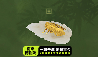 南京博物院·可选含门票·凤凰说·2H人工讲解·多套餐可选
