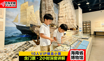 海南省博物馆·2小时人工精讲·凤凰说VIP小团·含门票预约