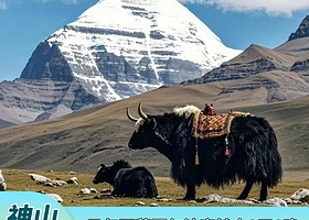 日喀则站+冈仁波齐+拉萨尔珠峰大本营九日游【马年冈仁波齐转山】