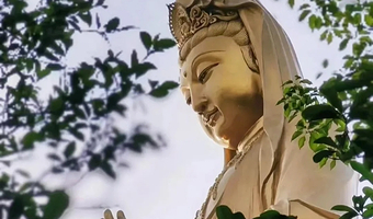 舟山普陀山风景区一日游【精致纯玩15人团·普陀山导游精讲-可升级私家团】